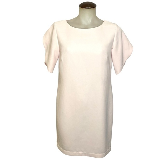 Light Pink Shift Dress With Tulip Sleeves 🤍 - Picture 1 of 10
